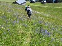 Mont de l'Arpille 16 July